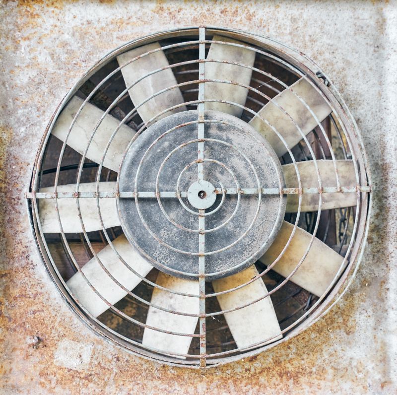 Age and Condition of Fan
