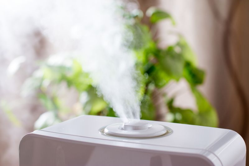 Residential Humidifier Service in Sarasota, FL